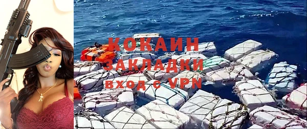 индика Балабаново