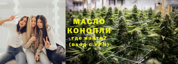 индика Балабаново