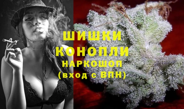 индика Балабаново