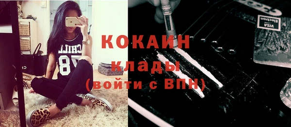 индика Балабаново